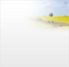 Asthma asma blue inhaler and brown inhaler