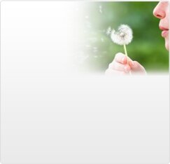 Hay Fever Allergy Relief Telfast